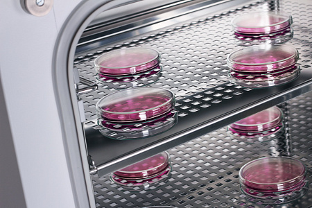 Co2cell bmt